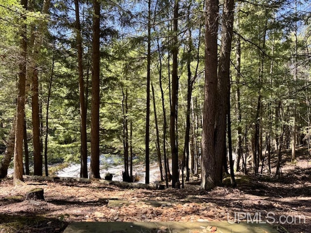 698 E River Dr, Lanse, MI 49946 - view of tree filled area