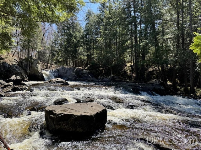 698 E River Dr, Lanse, MI 49946 - view of local wilderness