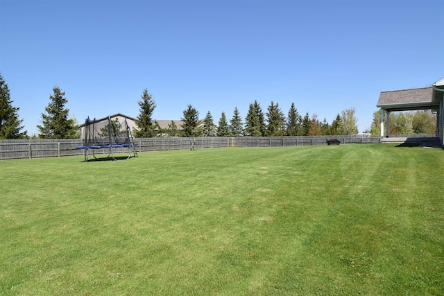 7272 S 7 Mile Rd, Freeland, MI 48623 - view of yard featuring a trampoline