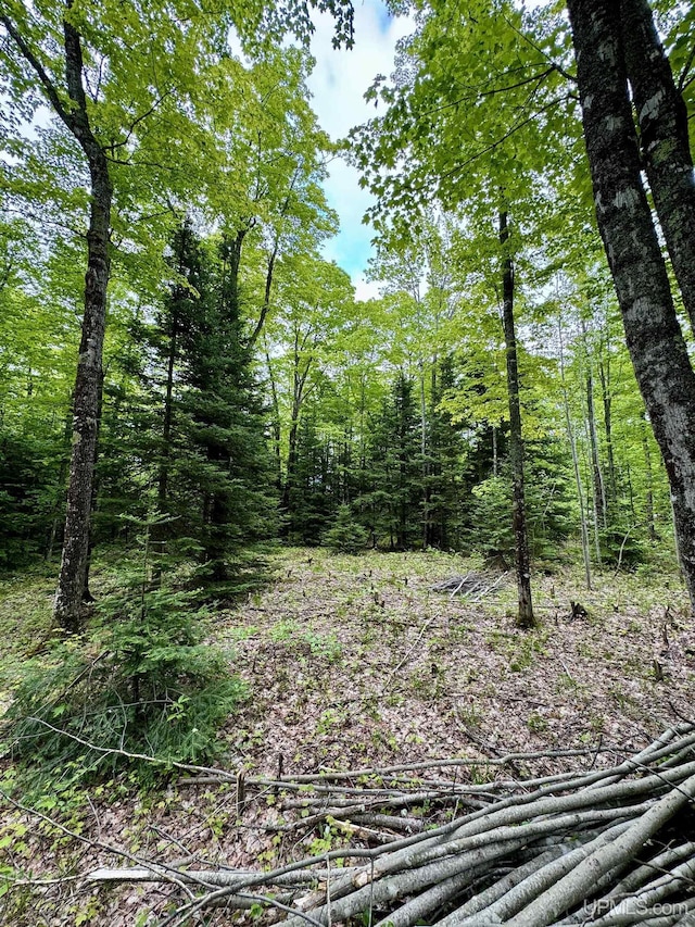 3 Maple Ridge Rd, Negaunee, MI 49866