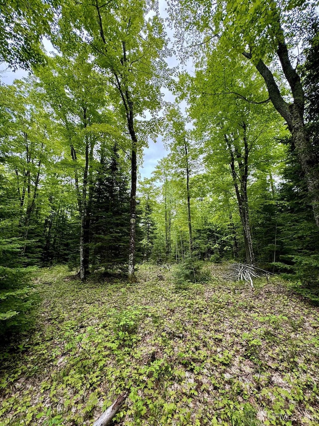 3 Maple Ridge Rd, Negaunee, MI 49866