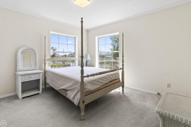 carpeted bedroom featuring baseboards, a textured ceiling, and a water view
