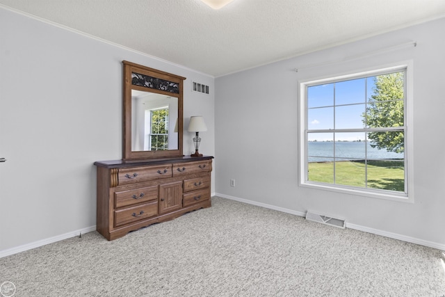 bedroom featuring crown molding, a water view, light carpet, a textured ceiling, and baseboards