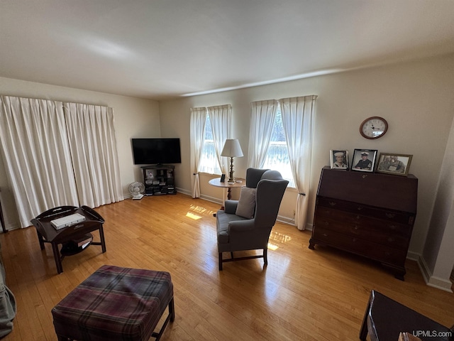 1100 Poplar Ave, Crystal Falls, MI 49920 - living room with light wood finished floors and baseboards