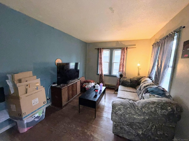 306 N Ionia St, Gladwin, MI 48624 - living room with wood-type flooring