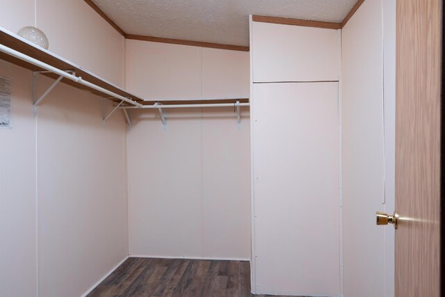 1448 W Sian Dr, Sanford, MI 48657 - walk in closet featuring wood finished floors