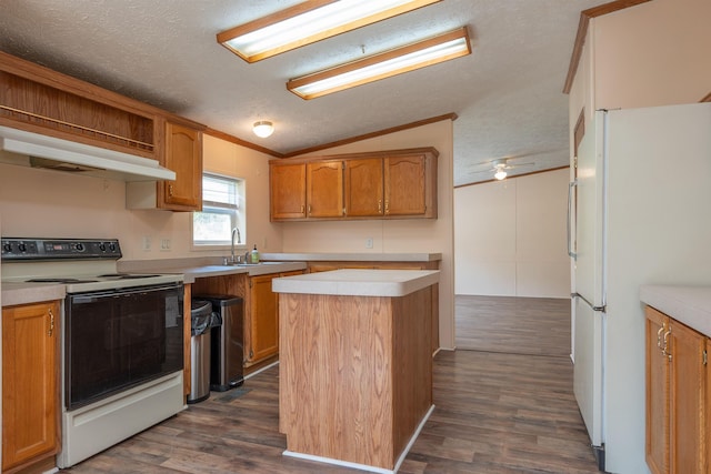 1448 W Sian Dr, Sanford, MI 48657 - kitchen featuring white appliances, under cabinet range hood, vaulted ceiling, a textured ceiling, and dark wood-style flooring