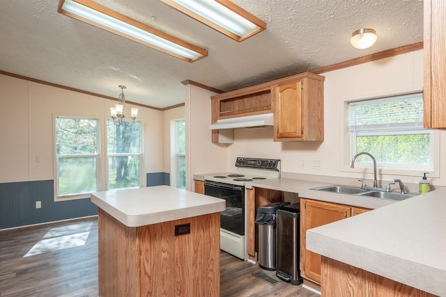 1448 W Sian Dr, Sanford, MI 48657 - kitchen with white range with electric cooktop, a sink, under cabinet range hood, a textured ceiling, and ornamental molding