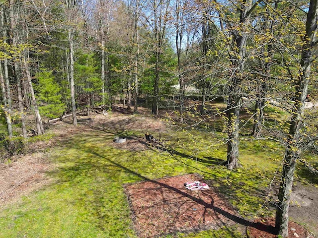 1448 W Sian Dr, Sanford, MI 48657 - view of yard