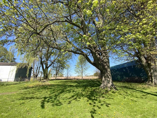 6053 Van Dyke Rd, Brown City, MI 48416 - view of yard