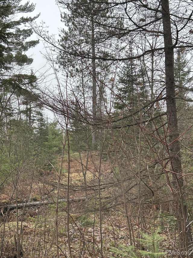 OFF Boulder St, Gwinn, MI 49841