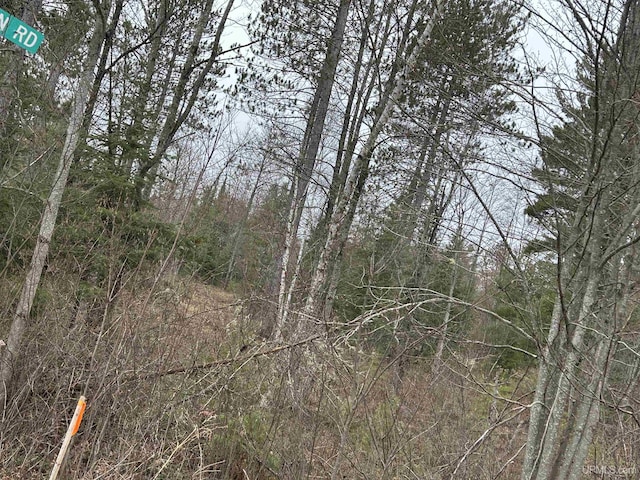 OFF Boulder St, Gwinn, MI 49841