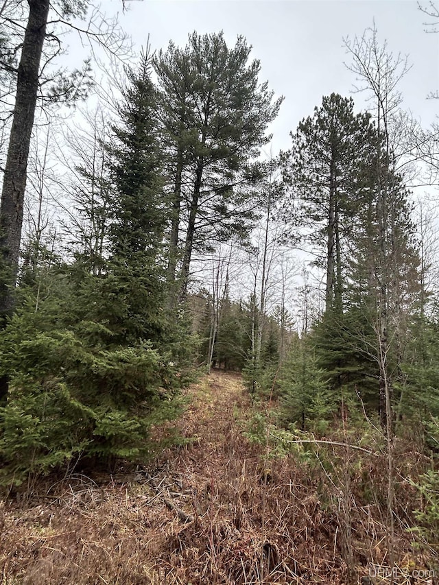 OFF Boulder St, Gwinn, MI 49841