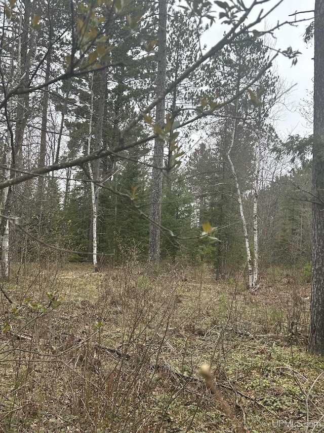 OFF Boulder St, Gwinn, MI 49841