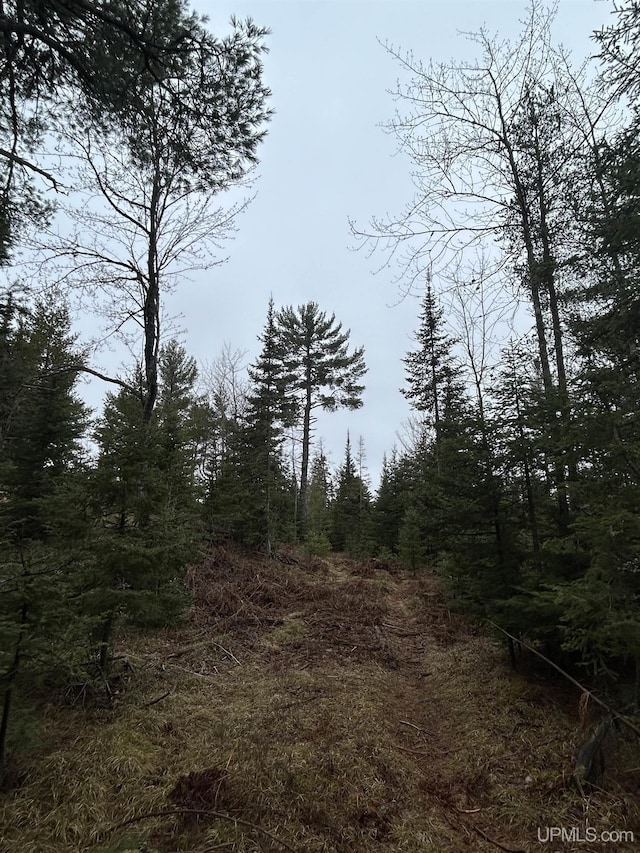 OFF Boulder St, Gwinn, MI 49841