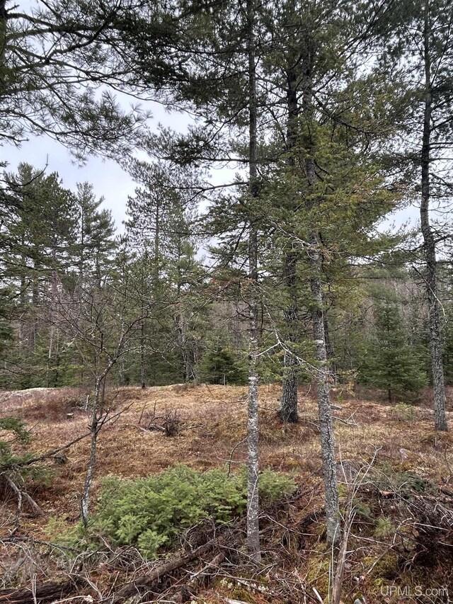 OFF Boulder St, Gwinn, MI 49841