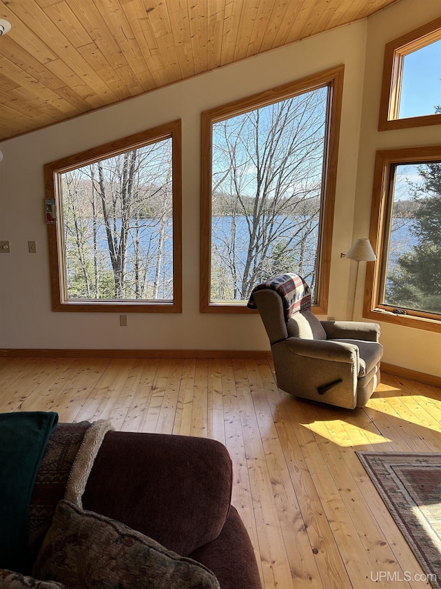 25393 Campsite Dr, Michigamme, MI 49861 - sitting room with a water view, plenty of natural light, and light wood finished floors