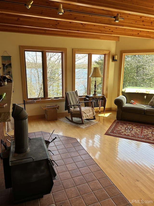 25393 Campsite Dr, Michigamme, MI 49861 - living room featuring wood finished floors, a wood stove, and baseboards