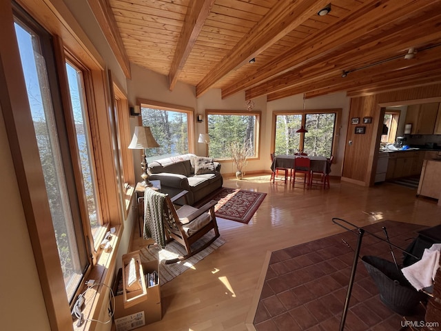 25393 Campsite Dr, Michigamme, MI 49861 - living area with beamed ceiling, wooden ceiling, dark wood-style flooring, and baseboards
