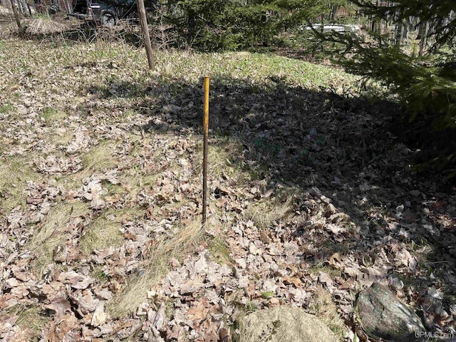 25393 Campsite Dr, Michigamme, MI 49861 - view of local wilderness