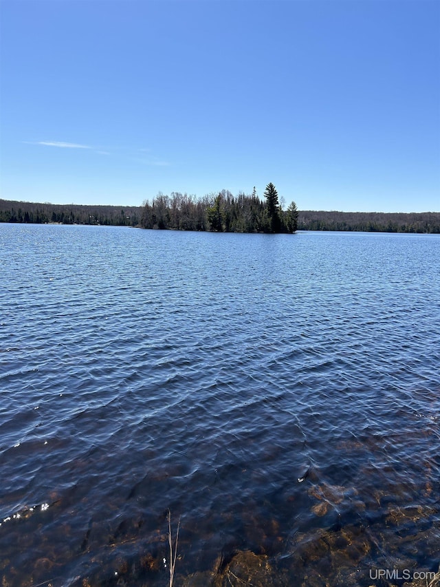 25393 Campsite Dr, Michigamme, MI 49861 - water view