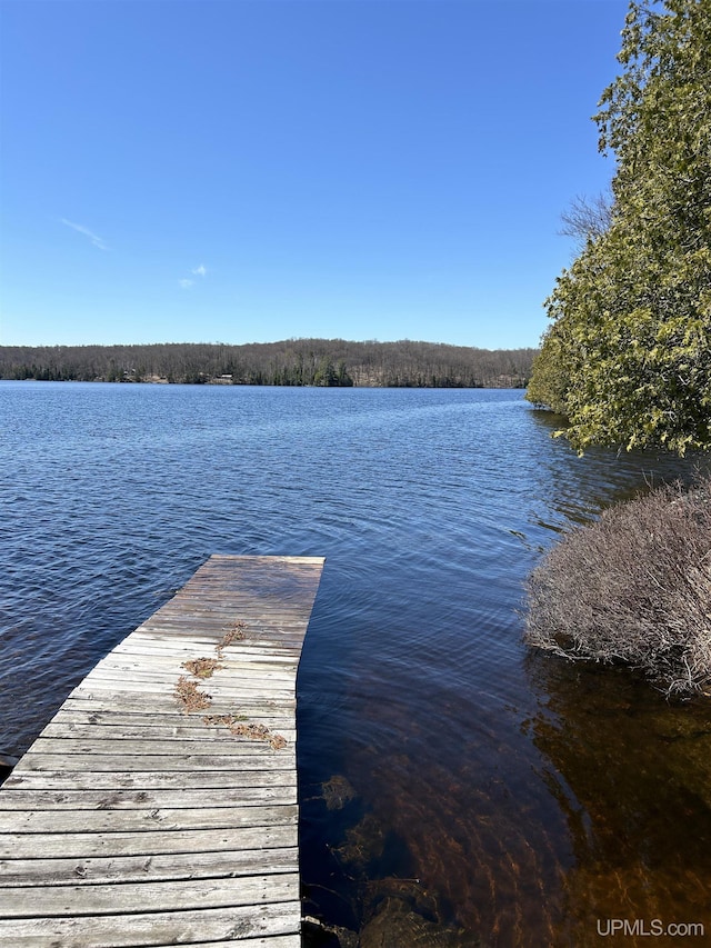 25393 Campsite Dr, Michigamme, MI 49861 - dock with a water view