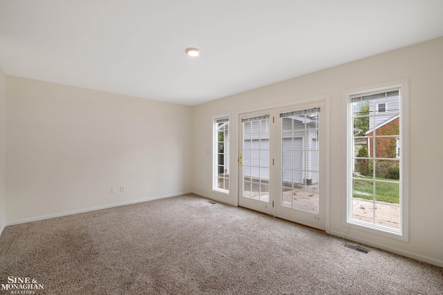 spare room featuring carpet, plenty of natural light, and baseboards
