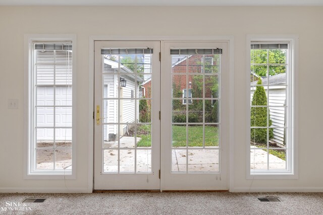 doorway featuring plenty of natural light and carpet