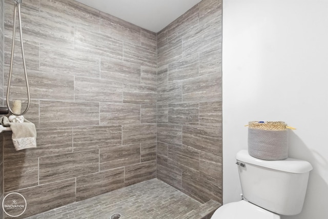505 N Main St, Yale, MI 48097 - bathroom featuring a tile shower and toilet