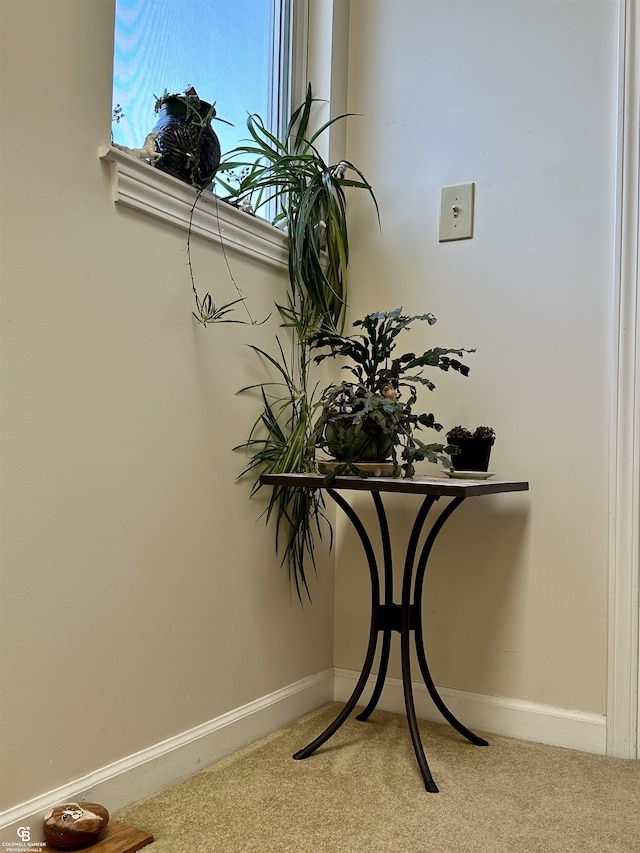 detailed view of carpet flooring and baseboards