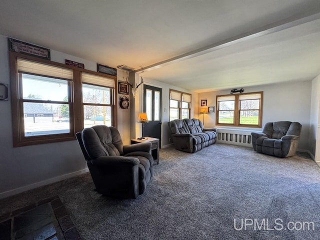 437 N Main St, Lanse, MI 49946 - carpeted living area with baseboards