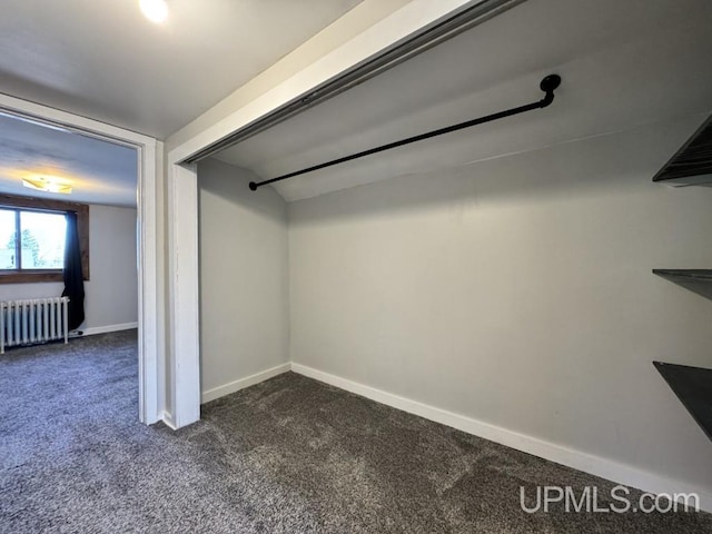 437 N Main St, Lanse, MI 49946 - spacious closet with radiator, dark colored carpet, and lofted ceiling