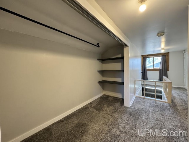437 N Main St, Lanse, MI 49946 - spacious closet with dark colored carpet