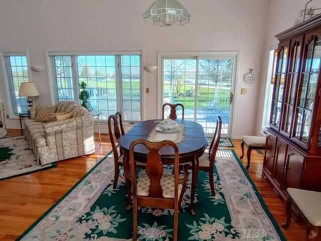 1726 Berkshire Dr, Gladwin, MI 48624 - dining area with plenty of natural light and wood finished floors