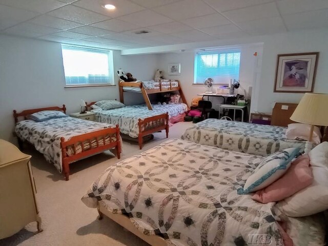 1726 Berkshire Dr, Gladwin, MI 48624 - bedroom with multiple windows, carpet floors, and a drop ceiling