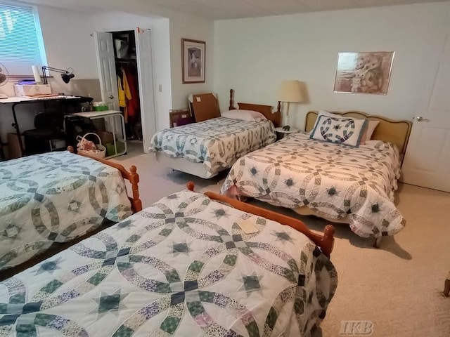 1726 Berkshire Dr, Gladwin, MI 48624 - bedroom with a closet and carpet