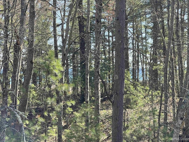 38A 1422FF Top O The Lake Rd, Gulliver, MI 49840