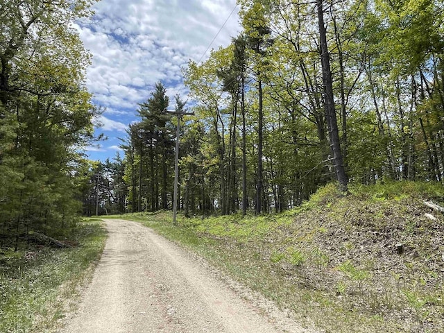 38A 1422FF Top O The Lake Rd, Gulliver, MI 49840