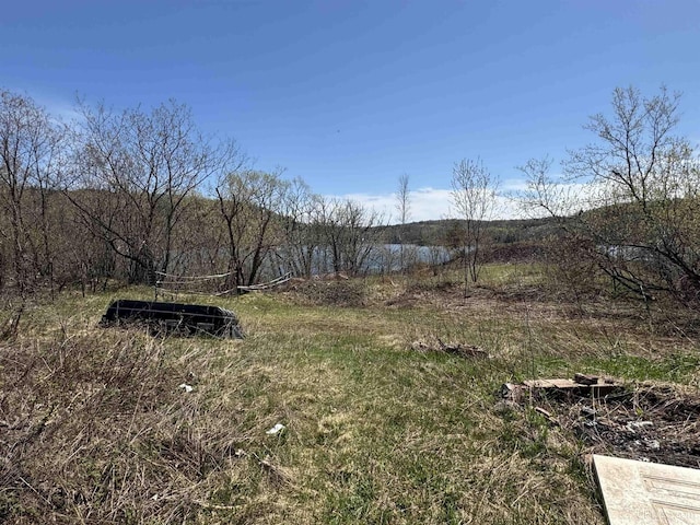 643 S Pine St, Ishpeming, MI 49849 - view of yard