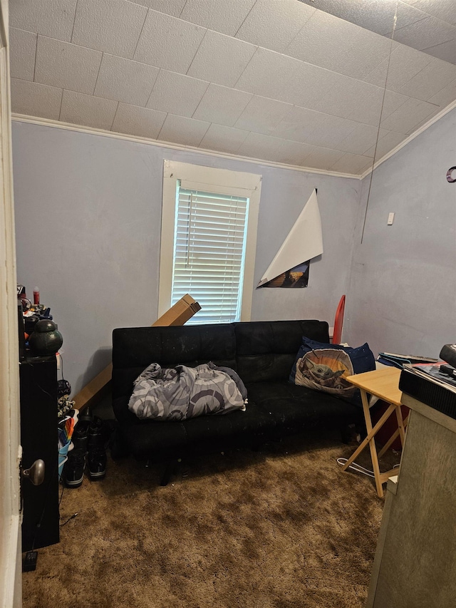 112 Euclid St, Saint Louis, MI 48880 - living room with crown molding and carpet floors