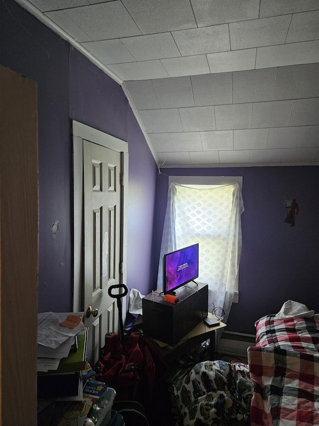 112 Euclid St, Saint Louis, MI 48880 - bedroom with lofted ceiling