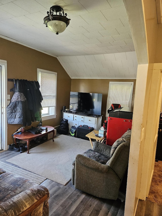 112 Euclid St, Saint Louis, MI 48880 - living room featuring wood finished floors and lofted ceiling