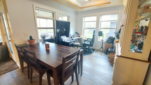 3787 Shepherd Rd, Midland, MI 48880 - dining room with ornamental molding, a tray ceiling, light wood-type flooring, and a desk