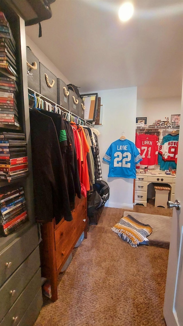3787 Shepherd Rd, Midland, MI 48880 - spacious closet with carpet