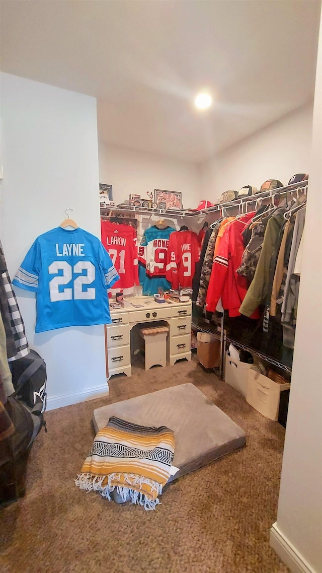 3787 Shepherd Rd, Midland, MI 48880 - walk in closet with carpet flooring