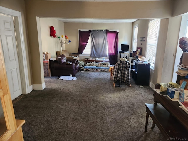 living area featuring carpet floors and baseboards