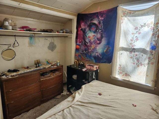 bedroom with lofted ceiling