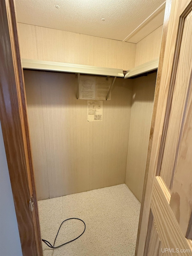 walk in closet with carpet flooring