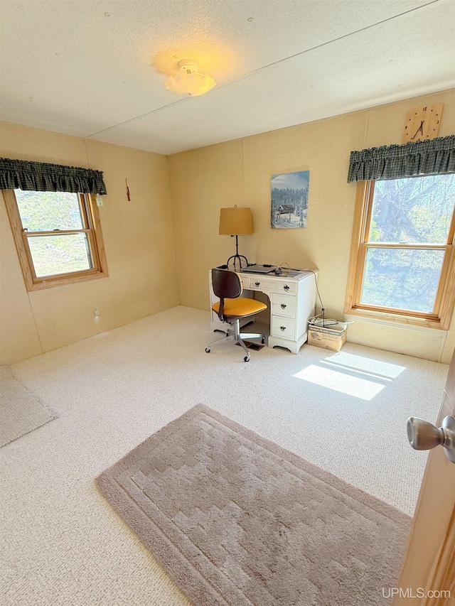 carpeted office featuring plenty of natural light