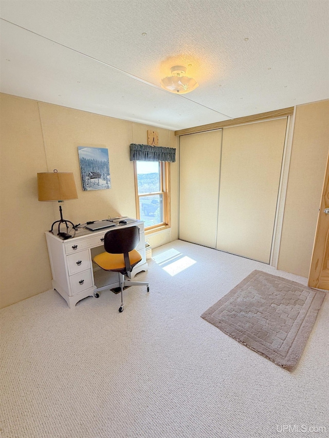 office space with carpet flooring and a textured ceiling